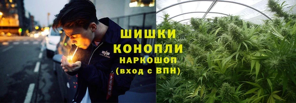 трава Абаза