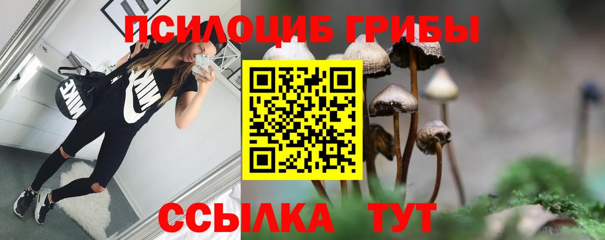 Краснокамск  Галлюциногенные грибы MAGIC MUSHROOMS  Вход с VPN  цена   Галлюциногенные грибы ЛСД 